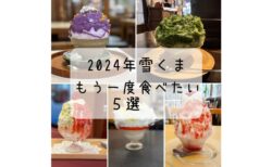 雪くまオススメ ５選 〜もう一度食べたいほど美味しい編〜　2024年