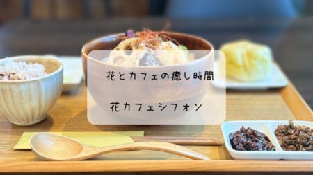 花とカフェの癒し空間！花カフェシフォンでのんびりランチタイム✨