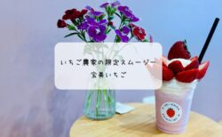 いちごの香りに包まれる幸せ　宝美いちごでストロベリークラウンを堪能　本庄市