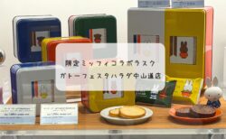 ミッフィー缶可愛すぎ♡6/1発売ガトーフェスタハラダ限定品を中山道店でGET！