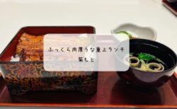 伊勢崎市の人気うなぎ店「菊もと」で絶品うな重ランチを堪能！ふっくら鰻が自慢の老舗