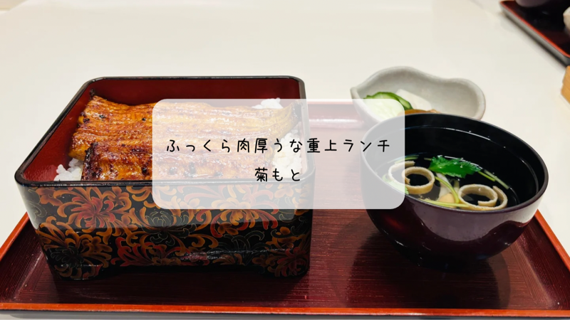 伊勢崎市の人気うなぎ店「菊もと」で絶品うな重ランチを堪能!ふっくら鰻が自慢の老舗