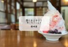 雪くまスタンプラリー8店舗目！ついにリベンジ成功🍧熊谷・満願堂でいちご雪くまを実食✨