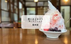 静かな朝に味わう癒しのかき氷🍓 騎崎屋で「木イチゴミルク」の雪くま体験レポート