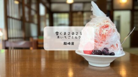 静かな朝に味わう癒しのかき氷🍓 騎崎屋で「木イチゴミルク」の雪くま体験レポート
