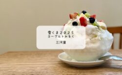 明治とのコラボ雪くまが絶品🍧三河屋の「ヨーグルトみるく」でひんやり幸せ体験【熊谷・雪くま2025】