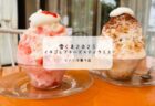 🍓苺たっぷり！PUBLIC SWEETSの“ケーキのような雪くま”を堪能してきました【熊谷市】
