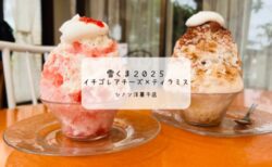 苦味と甘さのバランスが大人味🍧シノン洋菓子店の雪くま「ティラミス」で夏時間