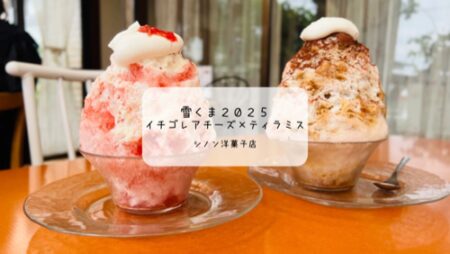 苦味と甘さのバランスが大人味🍧シノン洋菓子店の雪くま「ティラミス」で夏時間