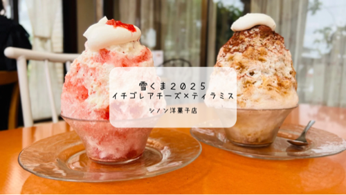 苦味と甘さのバランスが大人味🍧シノン洋菓子店の雪くま「ティラミス」で夏時間