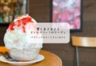 雪くま2025　ブルーベリーソースがまるでワインの味わい✨いわ瀬の極上かき氷体験【熊谷市】