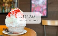 🍓苺たっぷり！PUBLIC SWEETSの“ケーキのような雪くま”を堪能してきました【熊谷市】