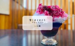 雪くま2025　ブルーベリーソースがまるでワインの味わい✨いわ瀬の極上かき氷体験【熊谷市】