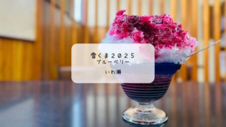 雪くま2025　ブルーベリーソースがまるでワインの味わい✨いわ瀬の極上かき氷体験【熊谷市】