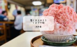 【熊谷】老舗そば処・木村屋のふわふわ芸術かき氷🍧「くまがや桜」を体験！五家宝のたね付きの和風雪くまに感動♡