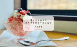 【熊谷 雪くま】月うさぎでふわふわ苺ミルクを堪能！ハーフサイズでも大満足の朝イチ体験記