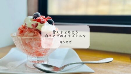 【熊谷 雪くま】月うさぎでふわふわ苺ミルクを堪能！ハーフサイズでも大満足の朝イチ体験記