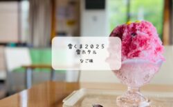 「なご味」のブルーベリーかき氷「雪ホタル」【熊谷市・江南エリア】