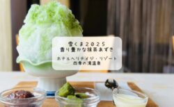 【熊谷・四季の湯温泉】食事だけOKな温泉で抹茶かき氷を実食レポ　雪くまスタンプラリー