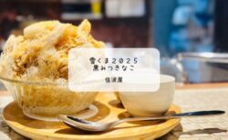 夜でも楽しめる貴重な雪くま！信波屋の「黒みつきなこ」実食レポ【熊谷・雪くまスタンプラリー】