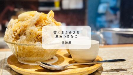 夜でも楽しめる貴重な雪くま！信波屋の「黒みつきなこ」実食レポ【熊谷・雪くまスタンプラリー】