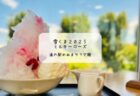 【夏限定】おふろカフェハレニワで味わうご褒美雪くま♡サウナ後の身体に染みる癒しスイーツ【実食レポ】