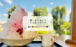 道の駅めぬまで華やかな薔薇の雪くま🌹ミルキーローズを再訪【熊谷市｜雪くまスタンプラリー20店舗目】