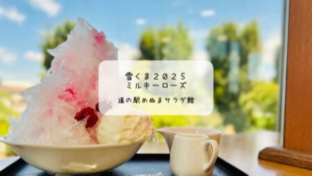 道の駅めぬまで華やかな薔薇の雪くま🌹ミルキーローズを再訪【熊谷市｜雪くまスタンプラリー20店舗目】
