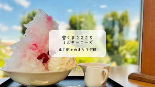 道の駅めぬまで華やかな薔薇の雪くま🌹ミルキーローズを再訪【熊谷市｜雪くまスタンプラリー20店舗目】