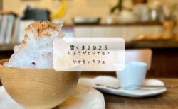 身体がぽかぽかになる不思議なかき氷　雪くま♡シナモンカフェ（熊谷市）