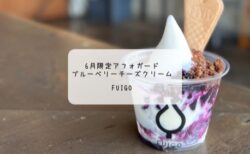太田市カフェ FUIGOの6月限定アフォガートが絶品！濃厚ブルーベリーチーズのひんやりスイーツ体験レポ