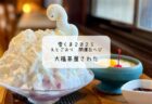 辛さと甘さの夏体験🍛✨熊谷・バックパッカーズランチで本格グリーンカレーと雪くまを満喫！