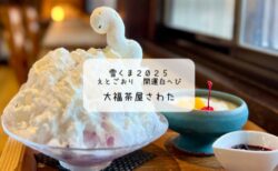 開運の氷に出会える夏🍧「大福茶屋さわた」の干支雪くまレポート【2025】