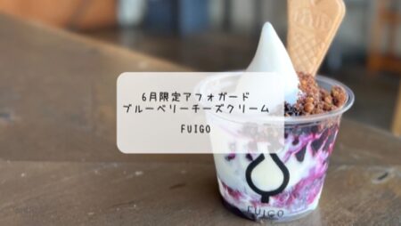 太田市カフェ FUIGOの6月限定アフォガートが絶品！濃厚ブルーベリーチーズのひんやりスイーツ体験レポ