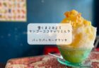 明治コラボの雪くまが登場！ホシカワカフェでヨーグルトとアサイーのふわふわかき氷を堪能♪