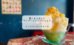 辛さと甘さの夏体験🍛✨熊谷・バックパッカーズランチで本格グリーンカレーと雪くまを満喫！