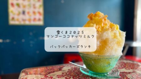 辛さと甘さの夏体験🍛✨熊谷・バックパッカーズランチで本格グリーンカレーと雪くまを満喫！