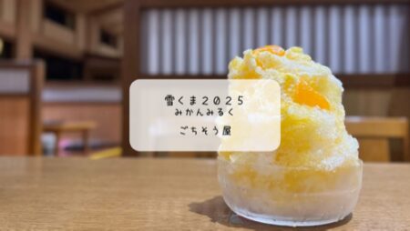 湯上がり気分で味わう🍊爽やかみかんみるくの雪くま【ごちそう屋＠湯楽の里】