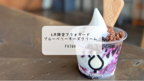 太田市カフェ FUIGOの6月限定アフォガートが絶品！濃厚ブルーベリーチーズのひんやりスイーツ体験レポ