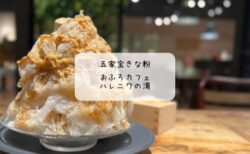 【熊谷市】おふろcafé ハレニワの湯で心も体もととのう1日｜夏限定メニュー＆雪くま「五家宝きなこ」も満喫！