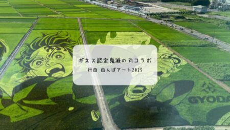 行田市の田んぼアート2025へ！鬼滅の刃とコラボした古代蓮の里を訪問レポ✨