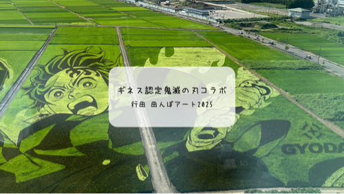 行田市の田んぼアート2025へ！鬼滅の刃とコラボした古代蓮の里を訪問レポ✨