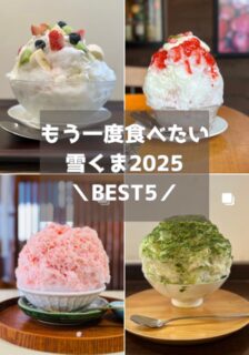 【雪くま2025】もう一度食べたいBEST5！熊谷でリピートしたい感動のかき氷ランキング