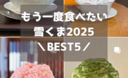 【雪くま2025】もう一度食べたいBEST5！熊谷でリピートしたい感動のかき氷ランキング