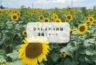 【雪くま2025】もう一度食べたいBEST5！熊谷でリピートしたい感動のかき氷ランキング