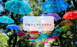 忍城でアンブレラスカイを発見！知る人ぞ知るフォトスポットをご紹介【行田市観光】