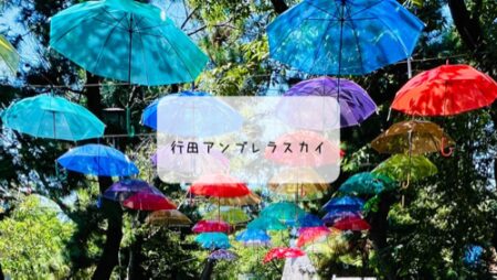 忍城でアンブレラスカイを発見！知る人ぞ知るフォトスポットをご紹介【行田市観光】