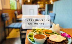 【太田市】BLUE WAVE CAFEがプレオープン！ハワイ気分を味わえるカフェでロコモコランチ体験レポ