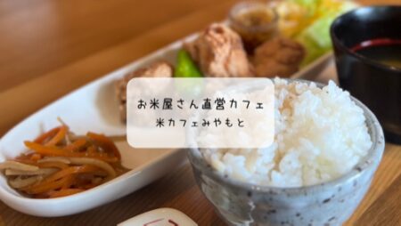 米カフェみやもと｜お米屋さん直営のカフェで味わう日替わりランチとヒレカツ丼【群馬・太田】