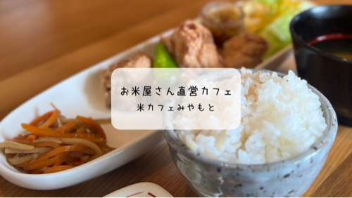 米カフェみやもと|お米屋さん直営のカフェで味わう日替わりランチとヒレカツ丼【群馬・太田】
